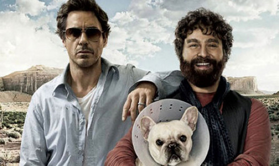 Ab dem 4.11. ist 'Stichtag' im Kino