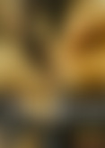 D*o