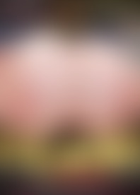 H*e B*t P*s E*r (2 D*)