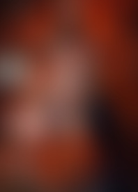 P*o T*s 6*: T*e H*n S*g