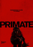 Primate