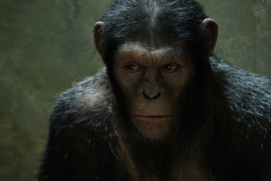 Der Planet der Affen - Prevolution - Szenenbild 3