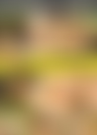 D*n