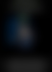 S*i D*s S*n 1 - T*e B*g