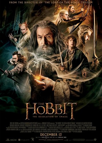 Der Hobbit 2 - Smaugs Einöde - Poster 3