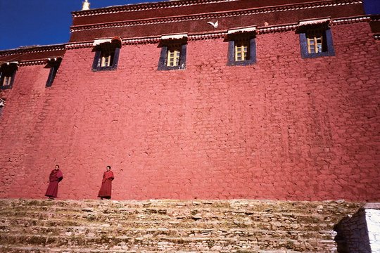 Free Tibet - Szenenbild 9