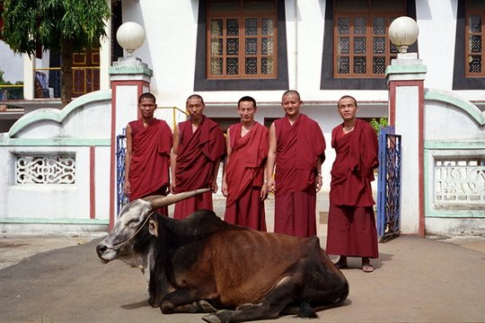 Free Tibet - Szenenbild 2