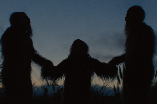 Sasquatch Sunset - Szenenbild 5 Sasquatch Sunset - Szenenbild 5