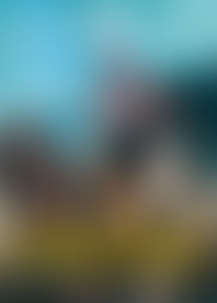 3 S*s F*g A G*y W*h A B*g C*k