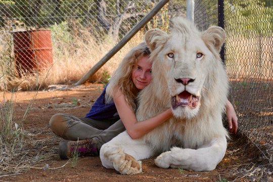 Mia und der weiße Löwe - Szenenbild 9