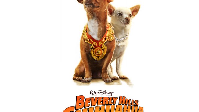 Beverly Hills Chihuahua - Wallpaper 3