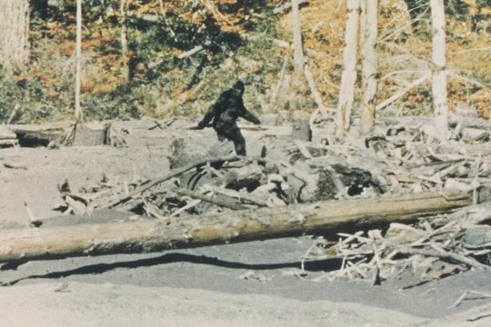 Capturing Bigfoot - Szenenbild 2 Capturing Bigfoot - Szenenbild 2