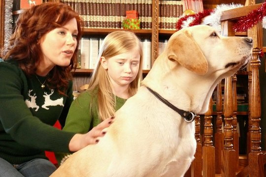 Ein Hund rettet Weihnachten - Szenenbild 2
