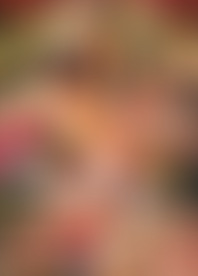 P*p o*r H*p 18 D*s P*l