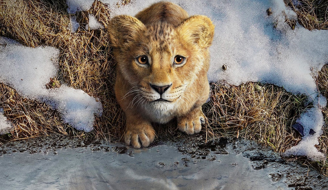 Kino: Mufasa - Der König der Löwen: Ein Löwe, der unser Leben auf ewig verändern sollte!