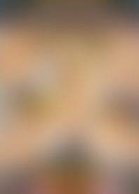 B*g B*k P*s In L*e W*e H*s