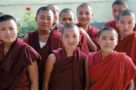 Free Tibet - Szenenbild 6