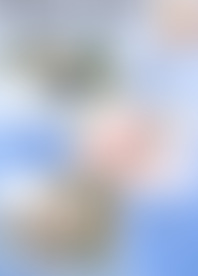 N*e - My H*e V*o C*n V*e 8