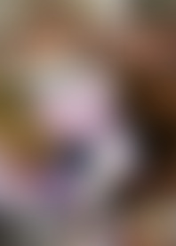 L*s F*l S*: T*e L*t G*g B*g