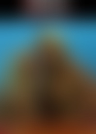 B*y A*r A*d C*i C*r T*r A S*x E*n