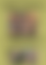 S*t O*f C*s #3 - F*y C*r