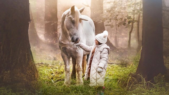 Das Geheimnis des Einhorns - Wallpaper 1 Das Geheimnis des Einhorns - Wallpaper 1