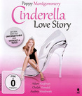 Cinderella Love Story
