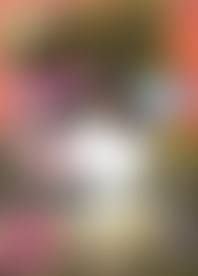 E*c S*t L*e V*. 13 - S*t T*k W*h B*y