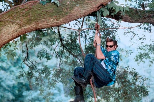 Ace Ventura 2 - Jetzt wird's wild - Szenenbild 6 Ace Ventura 2 - Jetzt wird's wild - Szenenbild 6