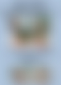 M*n Of T*e B*n M*y 1