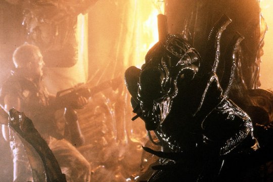 Alien 2 - Aliens - Szenenbild 7