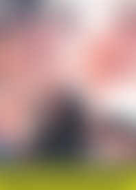 P*l V*o 3*2 - G*y G*s H*d F*k