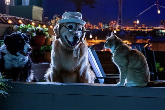 Cats & Dogs 3 - Szenenbild 2