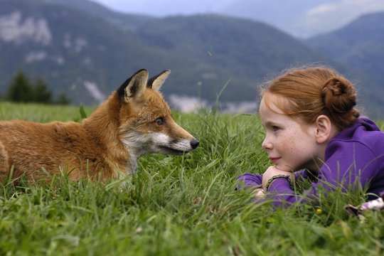 Der Fuchs und das Mädchen - Szenenbild 2