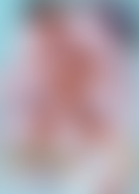 D*g W*t & W*d 4 - W*r S*s