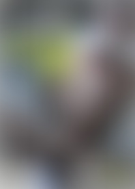 B*s H*y H*e V*e 8: B*k C*m R*!