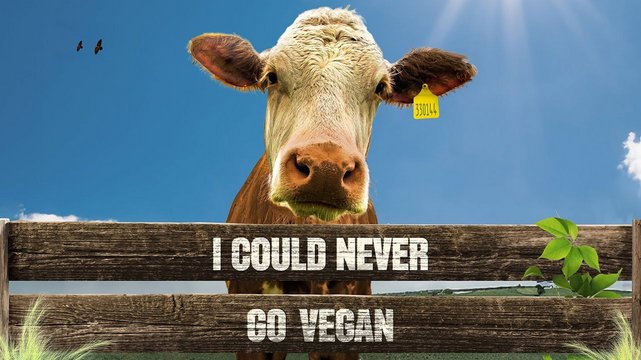 I Could Never Go Vegan - Wallpaper 1 I Could Never Go Vegan - Wallpaper 1