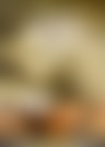 V*e 2