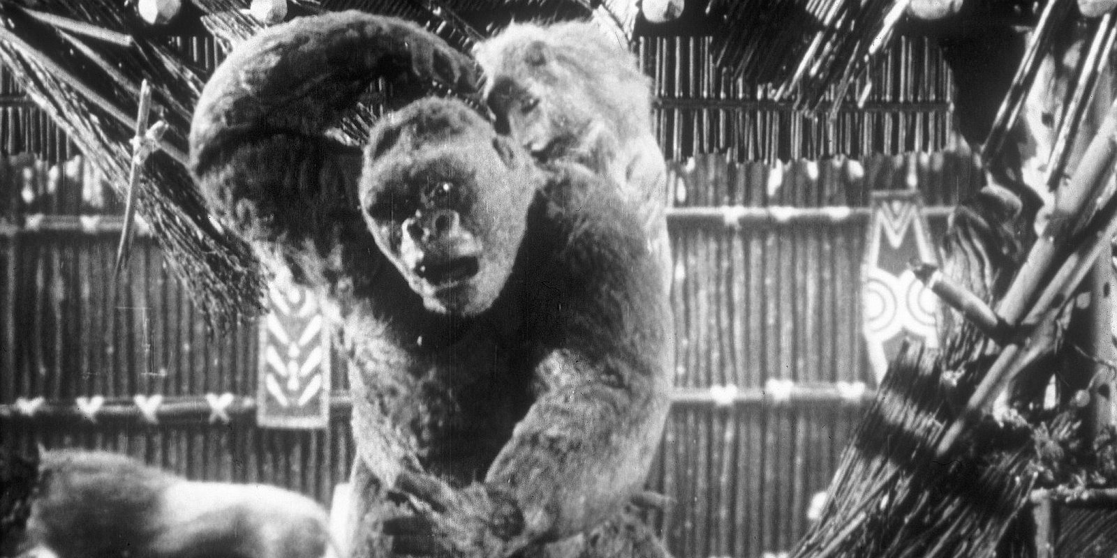 Panik um King Kong