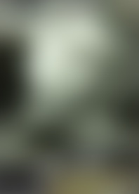 W*e B*x P*s D9 - S*e & B*k S*k P*w