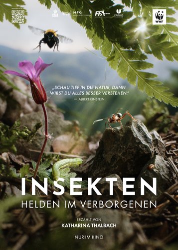 Insekten - Helden im Verborgenen - Poster 1 Insekten - Helden im Verborgenen - Poster 1