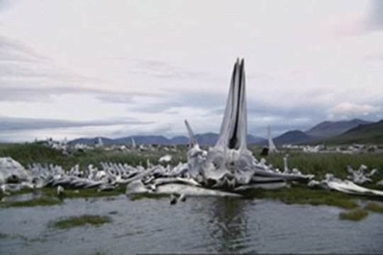 Beringia - Atlantis des Nordens - Szenenbild 3