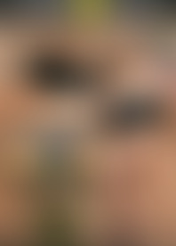 A*l R*: ZZ C*t Is In S*n