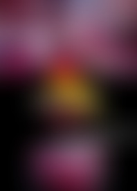 F*h A*: D*y D*a 1*t B*M B*e G*g