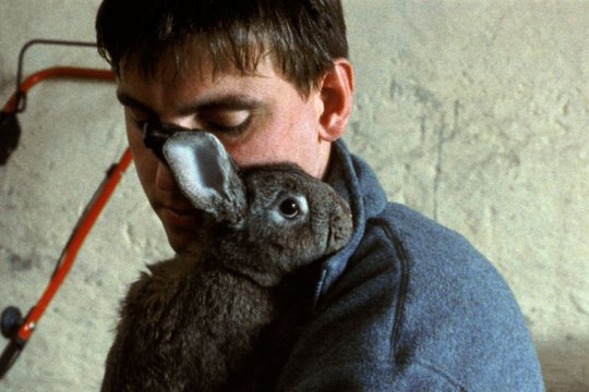 Sehnsucht - Ein Liebesfilm - Szenenbild 10 Sehnsucht - Ein Liebesfilm - Szenenbild 10