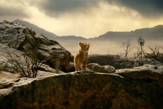 Mufasa - Der König der Löwen - Szenenbild 1