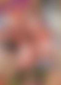 Il M*o C*o P*f Di L*e