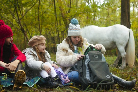 Tale of the Forest Unicorn - Das Geheimnis des Einhorns - Szenenbild 5 Tale of the Forest Unicorn - Das Geheimnis des Einhorns - Szenenbild 5