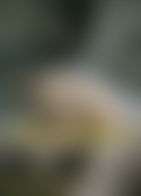 B*s A*d B*s 15 - S*n C*t