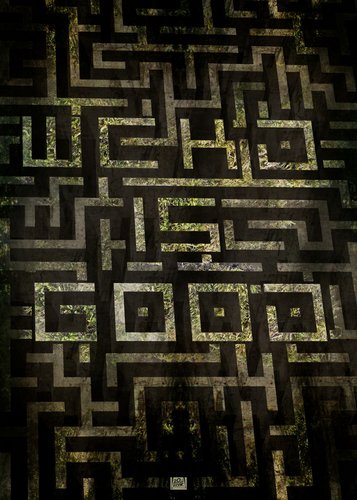 Maze Runner 1 - Die Auserwählten im Labyrinth - Poster 11